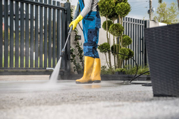 Best Roof Pressure Washing  in Vandalia, OH